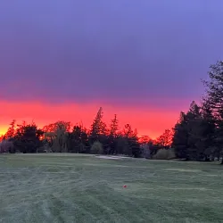 Golf Course at Rohnert Park - Rohnert Park