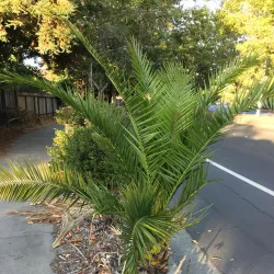 Rohnert Park Aquatic Center - Rohnert Park