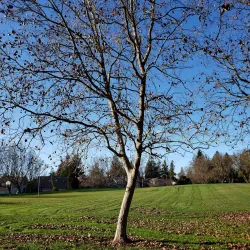 Rohnert Park Aquatic Center - Rohnert Park