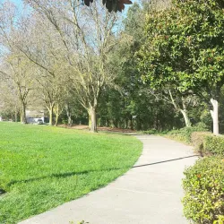 Rohnert Park Aquatic Center - Rohnert Park