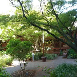 Rohnert Park Community Center - Rohnert Park