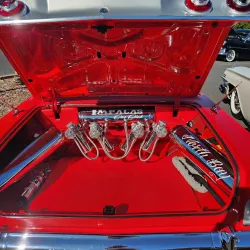 Rohnert Park Farmers Market - Rohnert Park