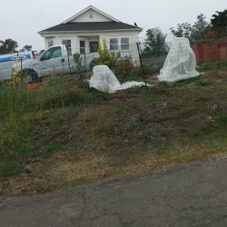 Rohnert Park Plaza - Rohnert Park