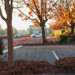 Rohnert Park Plaza - Rohnert Park