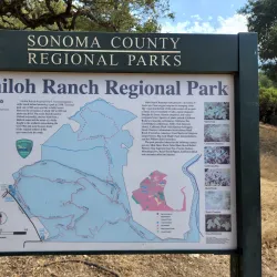 Shiloh Ranch Regional Park - Rohnert Park