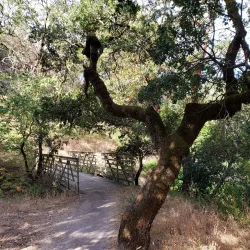 Shiloh Ranch Regional Park - Rohnert Park