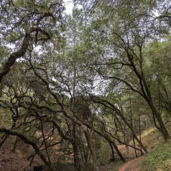 Shiloh Ranch Regional Park - Rohnert Park