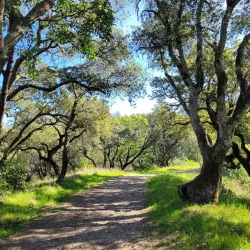 Shiloh Ranch Regional Park - Rohnert Park
