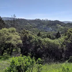 Shiloh Ranch Regional Park - Rohnert Park