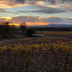 Shiloh Ranch Regional Park - Rohnert Park