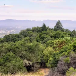Shiloh Ranch Regional Park - Rohnert Park