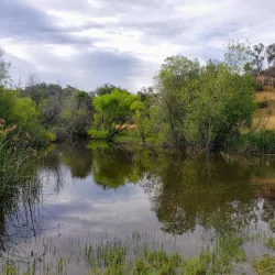 Shiloh Ranch Regional Park - Rohnert Park