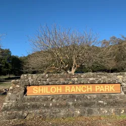 Shiloh Ranch Regional Park - Rohnert Park