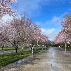 The Green Music Center - Rohnert Park