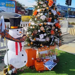 Historic Downtown Roseville - Roseville