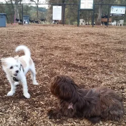 Johnson-Springview Park - Roseville