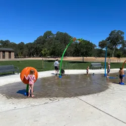 Johnson-Springview Park - Roseville