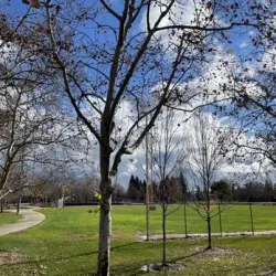 Maidu Regional Park - Roseville