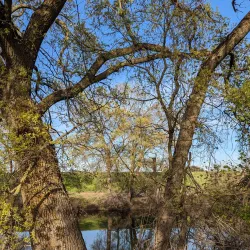 American River Parkway - Sacramento