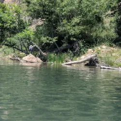 American River Parkway - Sacramento
