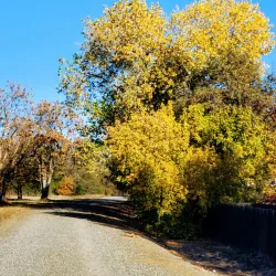 American River Parkway - Sacramento