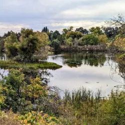 American River Parkway - Sacramento