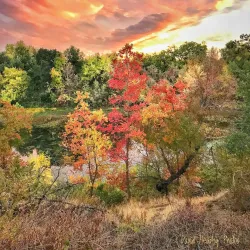 American River Parkway - Sacramento