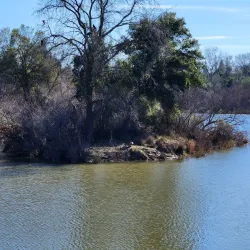 American River Parkway - Sacramento