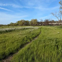 American River Parkway - Sacramento
