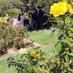 McKinley Park - Sacramento