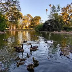 McKinley Park - Sacramento