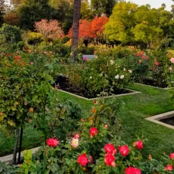 McKinley Park - Sacramento