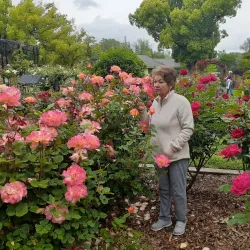 McKinley Park - Sacramento