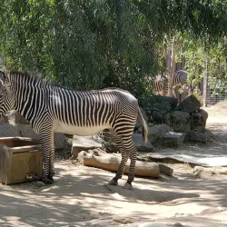 Sacramento Zoo - Sacramento