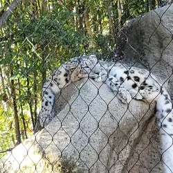 Sacramento Zoo - Sacramento