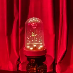 California Theatre of the Performing Arts - San Bernardino