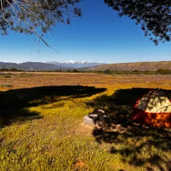 Mojave River Forks Regional Park - San Bernardino