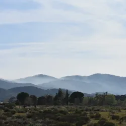 Mojave River Forks Regional Park - San Bernardino