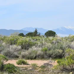 Mojave River Forks Regional Park - San Bernardino