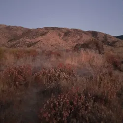 Mojave River Forks Regional Park - San Bernardino