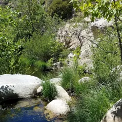 Mojave River Forks Regional Park - San Bernardino