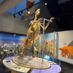 San Bernardino County Museum - San Bernardino