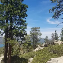 San Bernardino National Forest - San Bernardino