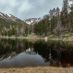 San Bernardino National Forest - San Bernardino