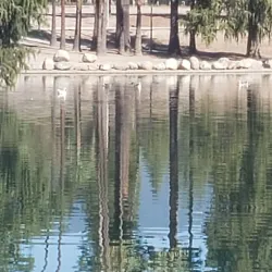 Seccombe Lake Park - San Bernardino