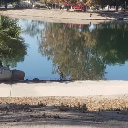 Seccombe Lake Park - San Bernardino