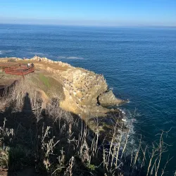 La Jolla Cove - San Diego