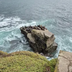 La Jolla Cove - San Diego