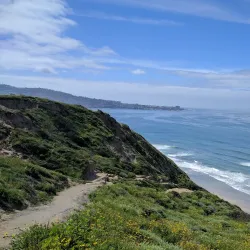 Torrey Pines State Natural Reserve - San Diego
