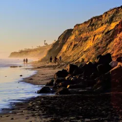 Torrey Pines State Natural Reserve - San Diego
